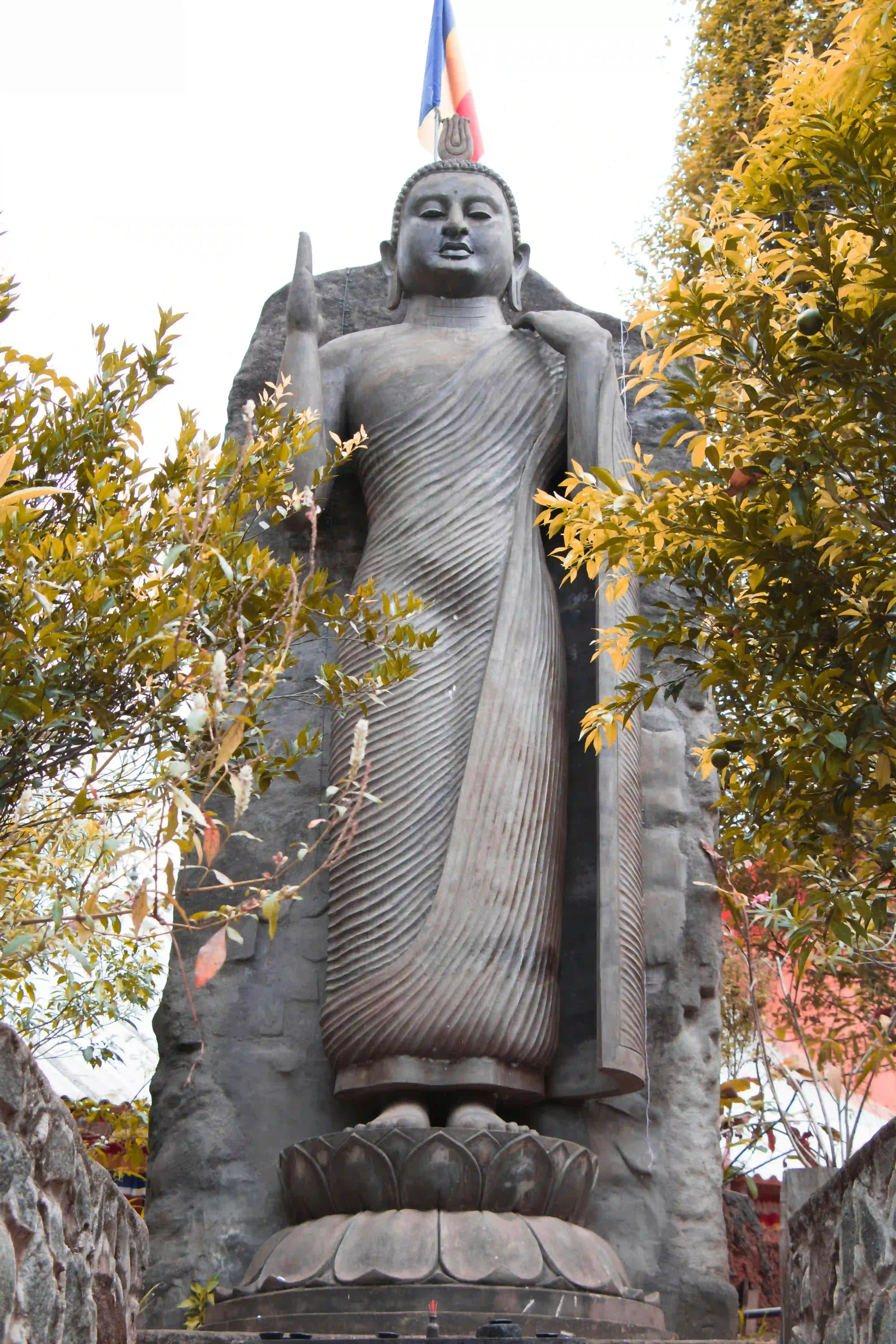 Avukana Buddha Statue Tour (3h)